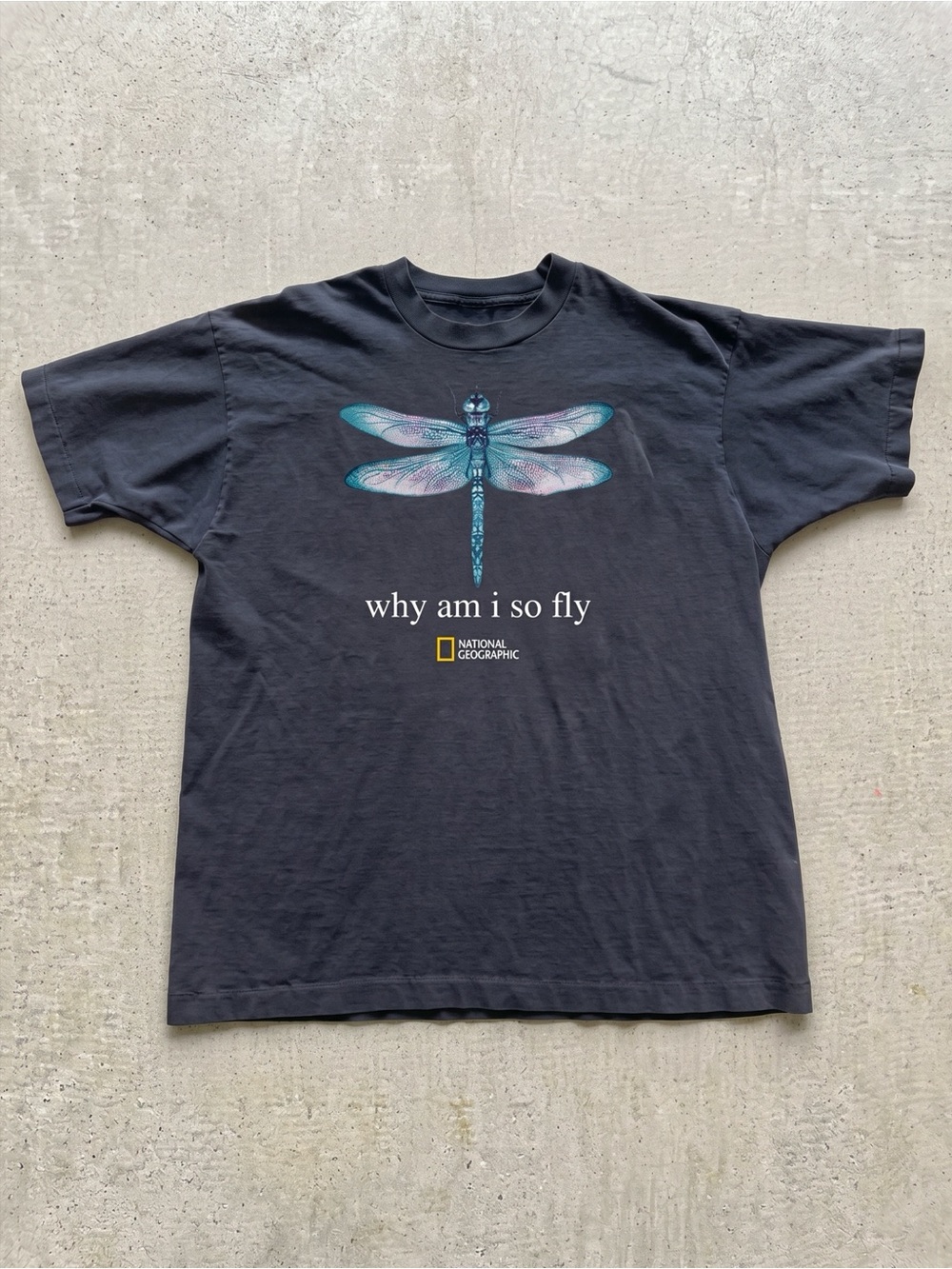 National Geographic Why Am I So Fly Dragonfly Pun Charcoal Graphic T-Shirt